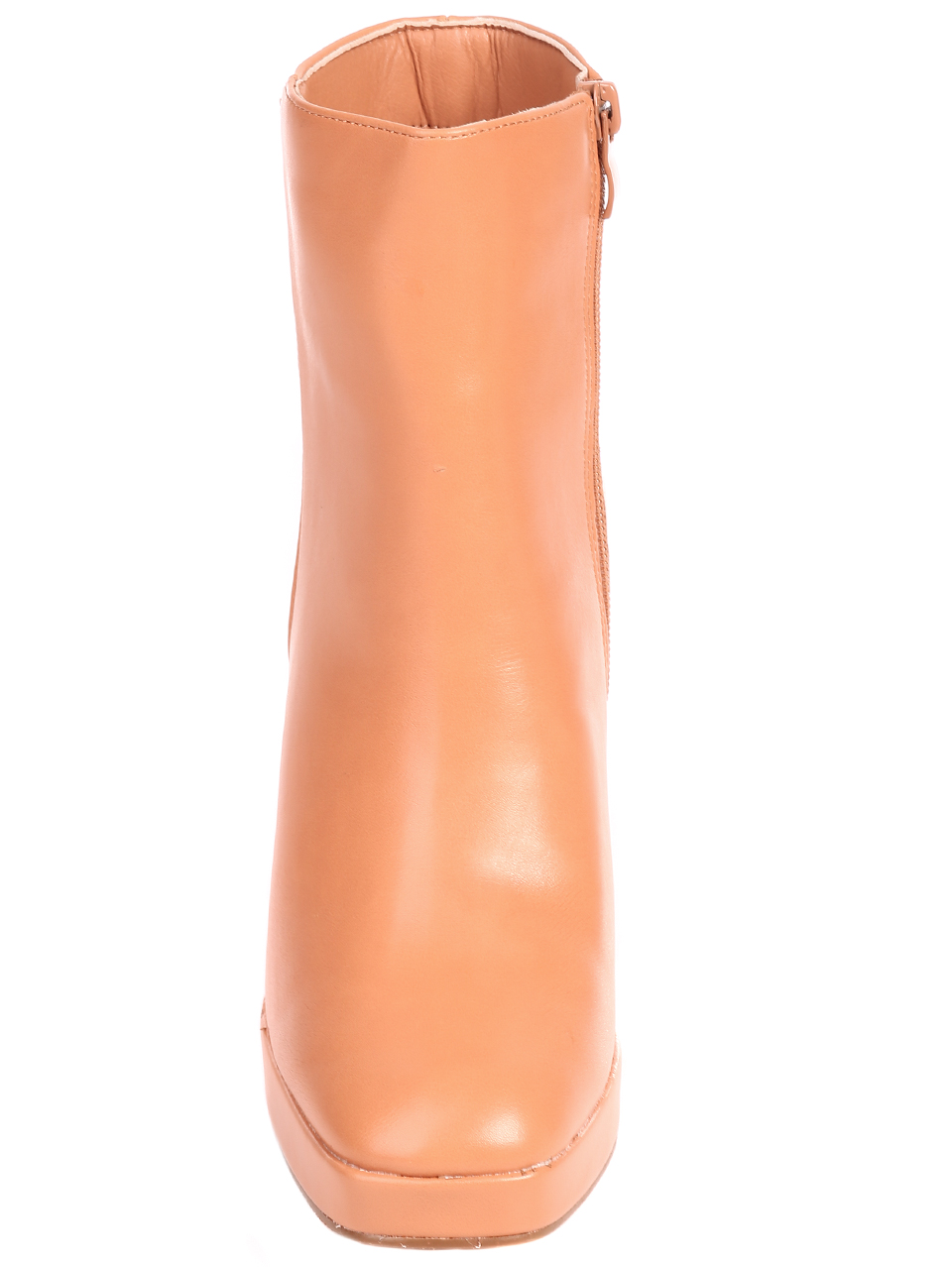  2M-22570 camel