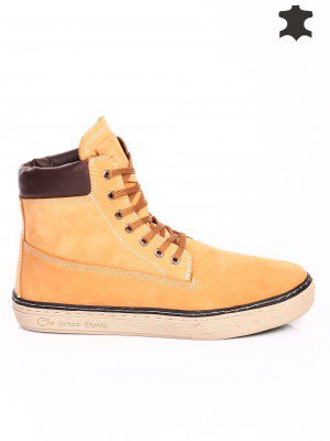  6T-15785 camel