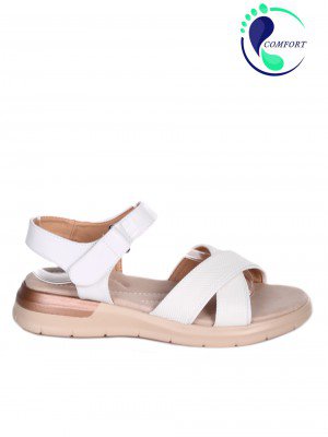  4H-23119 white