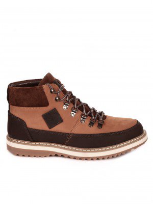  6AT-23787 camel