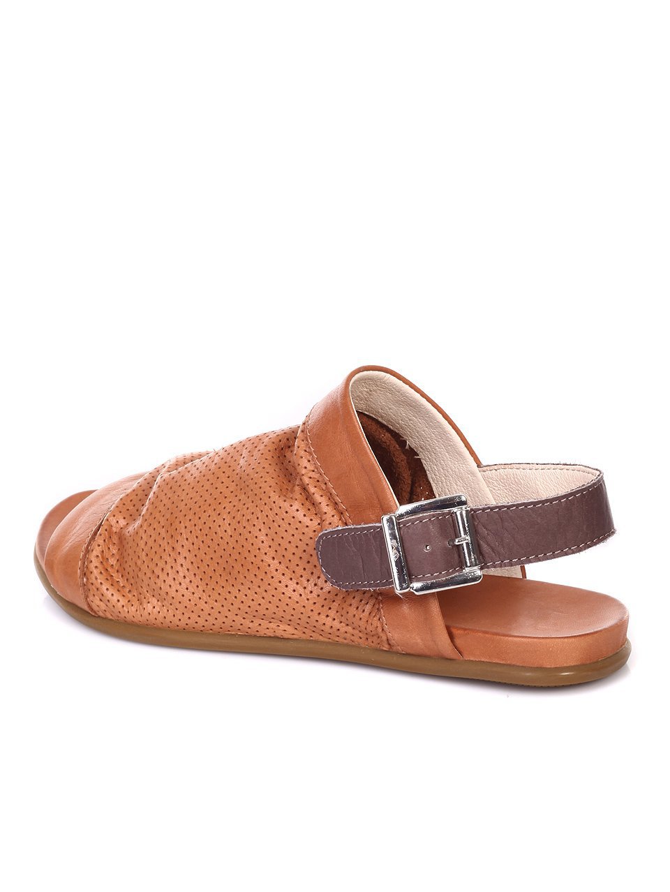  564-3282 brown